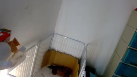 Snapshot of sweetlilly_18 chatting on 7, 1, 2025 Lilly online show from 7, 1, 2025