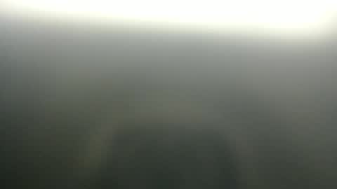 Snapshot of sweetpussy135 chatting on 3, 4, 2026 slim ivy online show from 3, 4, 2026