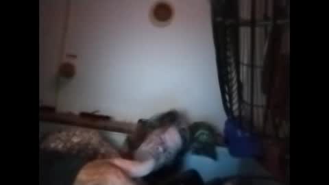 sweetsugar64 online show from 8, 3, 2026