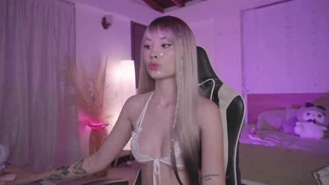 Cat independent model  online show from 2, 3, 2025