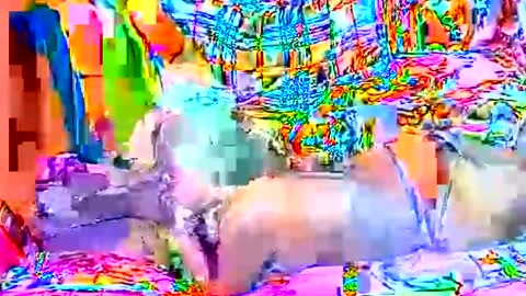 Snapshot of sweetyummygirl chatting on 22, 9, 2025 Sweetyummygirl online show from 22, 9, 2025