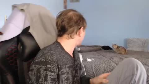 Cat online show from 15, 1, 2026