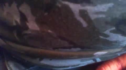 swils67 online show from 20, 4, 2026