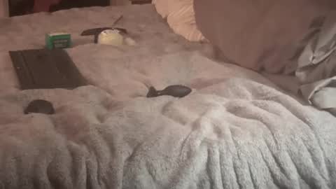 Snapshot of sxymn123 chatting on 14, 9, 2025 SissyDenver online show from 14, 9, 2025