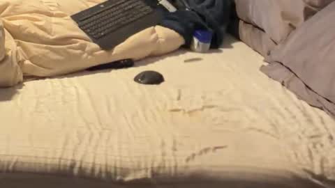 Snapshot of sxymn123 chatting on 18, 12, 2025 SissyDenver online show from 18, 12, 2025