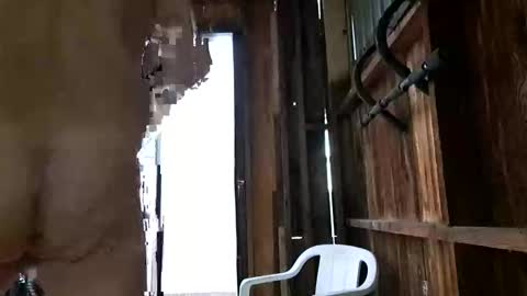 Snapshot of syevecrl chatting on 27, 10, 2025 syevecrl online show from 27, 10, 2025