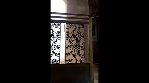 Snapshot of syevecrl chatting on 9, 2, 2026 syevecrl online show from 9, 2, 2026