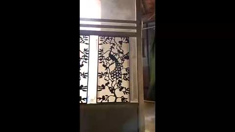 Snapshot of syevecrl chatting on 11, 2, 2026 syevecrl online show from 11, 2, 2026