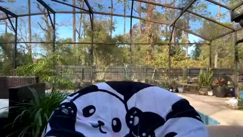 Snapshot of syndica chatting on 1, 2, 2025 Jennah online show from 1, 2, 2025