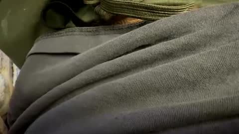 tRex online show from 24, 10, 2025