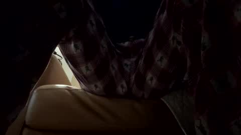 tRex online show from 14, 12, 2025