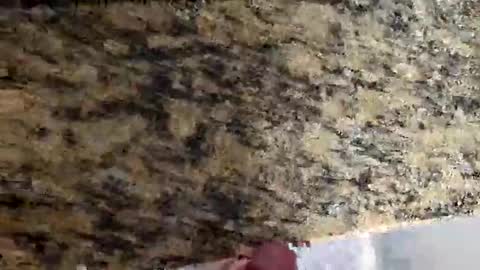 Canon online show from 2, 3, 2026