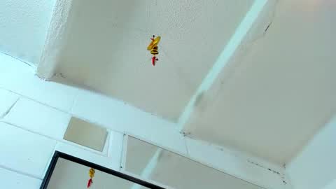 Snapshot of tafari_1 chatting on 2, 3, 2026 Tafari Zulu online show from 2, 3, 2026