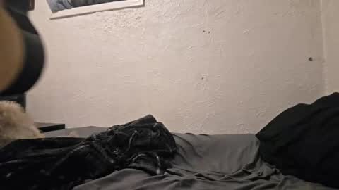 Snapshot of talenjames chatting on 18, 4, 2026 Talen James online show from 18, 4, 2026