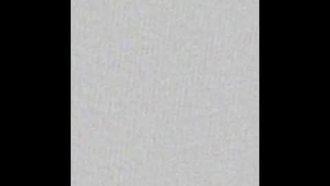 Aligator online show from 4, 1, 2025