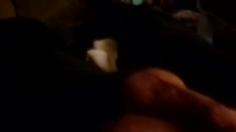 The Man of Steel online show from 26, 10, 2025