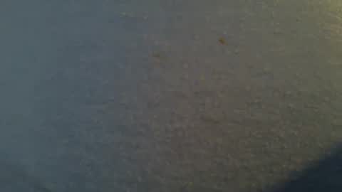 tallwxguy online show from 22, 5, 2026