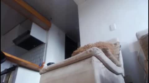 Tamara online show from 8, 2, 2026