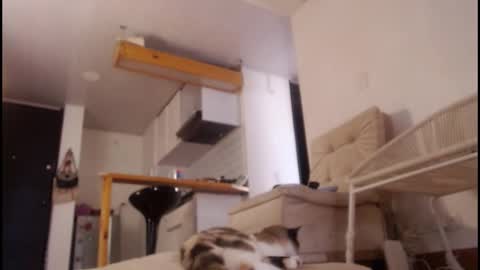 Tamara online show from 15, 3, 2026