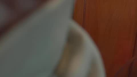 Tamy online show from 5, 10, 2025