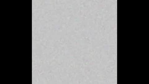 Taste online show from 24, 2, 2025