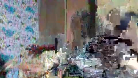 Snapshot of tasty_olive chatting on 2, 3, 2025 tasty_olive online show from 2, 3, 2025