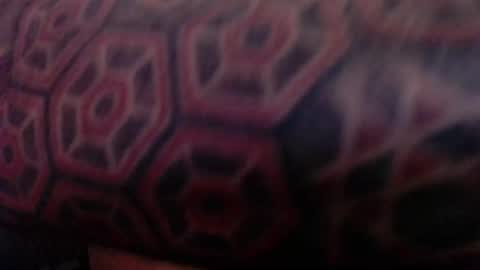 Snapshot of tatted420stoner chatting on 5, 10, 2025 tatted420stoner online show from 5, 10, 2025