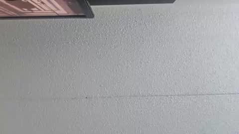 Inkedup online show from 22, 12, 2024