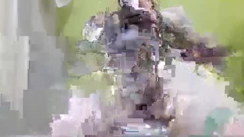 tattoo3333 online show from 14, 9, 2025