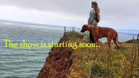 TATUM  ALL MY LINKS  online show from 5, 1, 2026