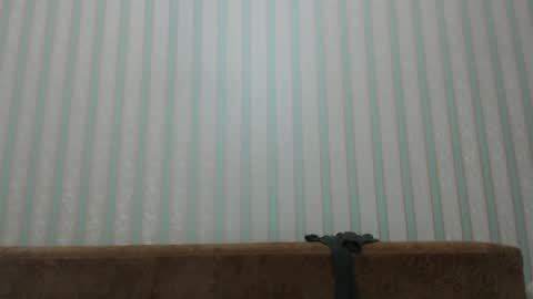 Snapshot of tayler_durden_1 chatting on 20, 12, 2024 ... online show from 20, 12, 2024