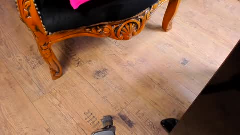 Snapshot of taylorfemdom chatting on 15, 12, 2024 Mistress Taylor online show from 15, 12, 2024