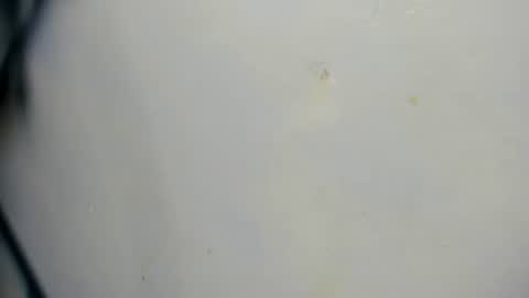 Snapshot of taz_box chatting on 21, 6, 2026 taz_box online show from 21, 6, 2026