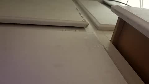 Snapshot of tboy833 chatting on 6, 10, 2025 Luis online show from 6, 10, 2025