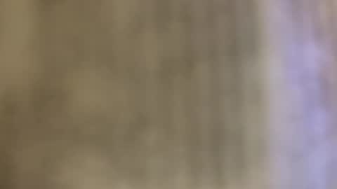 Snapshot of tboy833 chatting on 24, 10, 2025 Luis online show from 24, 10, 2025