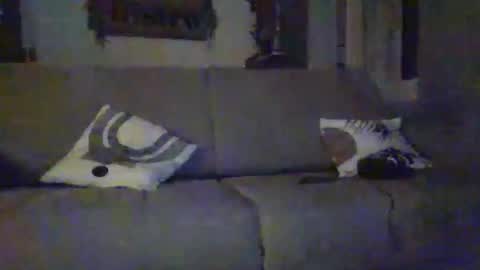 tchoop64 online show from 21, 12, 2025