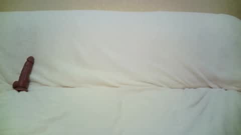 teach4kitty online show from 29, 9, 2025