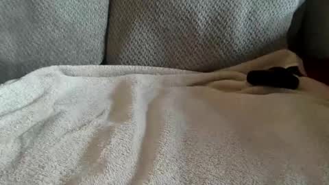 tec0vas online show from 15, 1, 2026