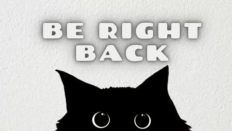 Ted online show from 5, 1, 2026