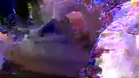 teki80j online show from 30, 1, 2025