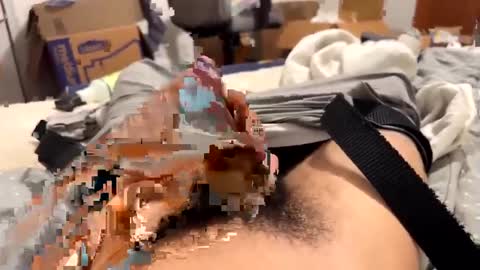 telecasted93 online show from 28, 9, 2025