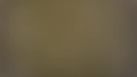 Snapshot of temptasian29 chatting on 28, 12, 2024 T online show from 28, 12, 2024