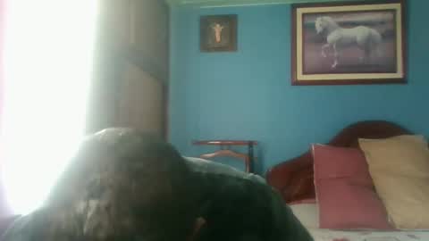 Fabio Canavaro online show from 3, 1, 2025