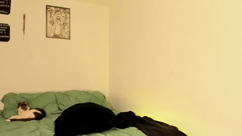 Teo online show from 13, 9, 2025