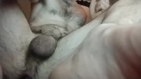 Toerry online show from 19, 1, 2025