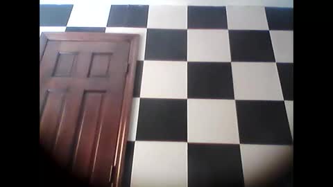 terdy2366 online show from 12, 11, 2025