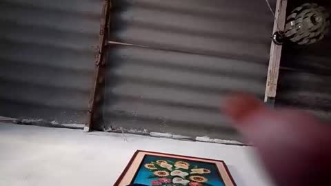 teresam81 online show from 7, 1, 2026