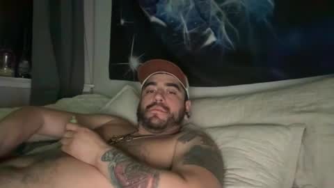 terppapi online show from 20, 2, 2026