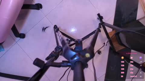 Terra Elowen online show from 1, 11, 2025