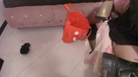 Terra Elowen online show from 21, 12, 2025